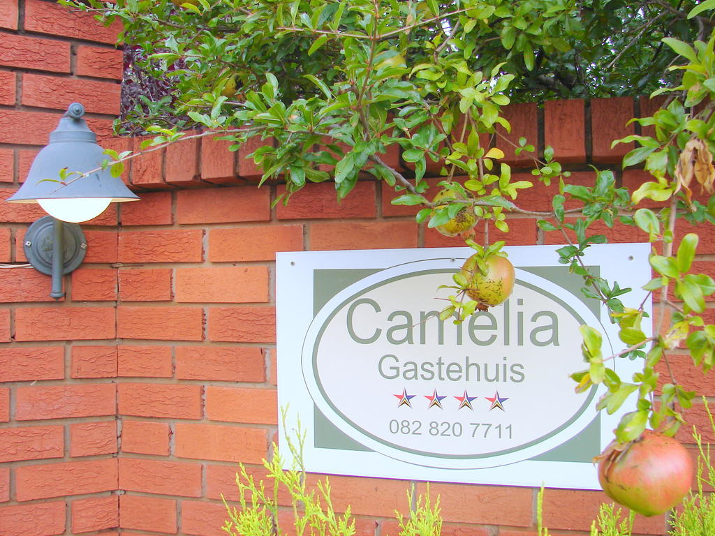 Camelia Guest House Bloemfontein Eksteriør billede